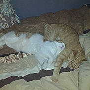 Riley is registered to the contest to win money with this photo: