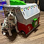 bell, box, cardboard_house, cat, christmas_theme, collar, costume, cozy, decorations, festive, furniture, hardwood_floor, holiday_pajamas, living_room, pajamas, pet, plant, tabby, toy_van, whiskers