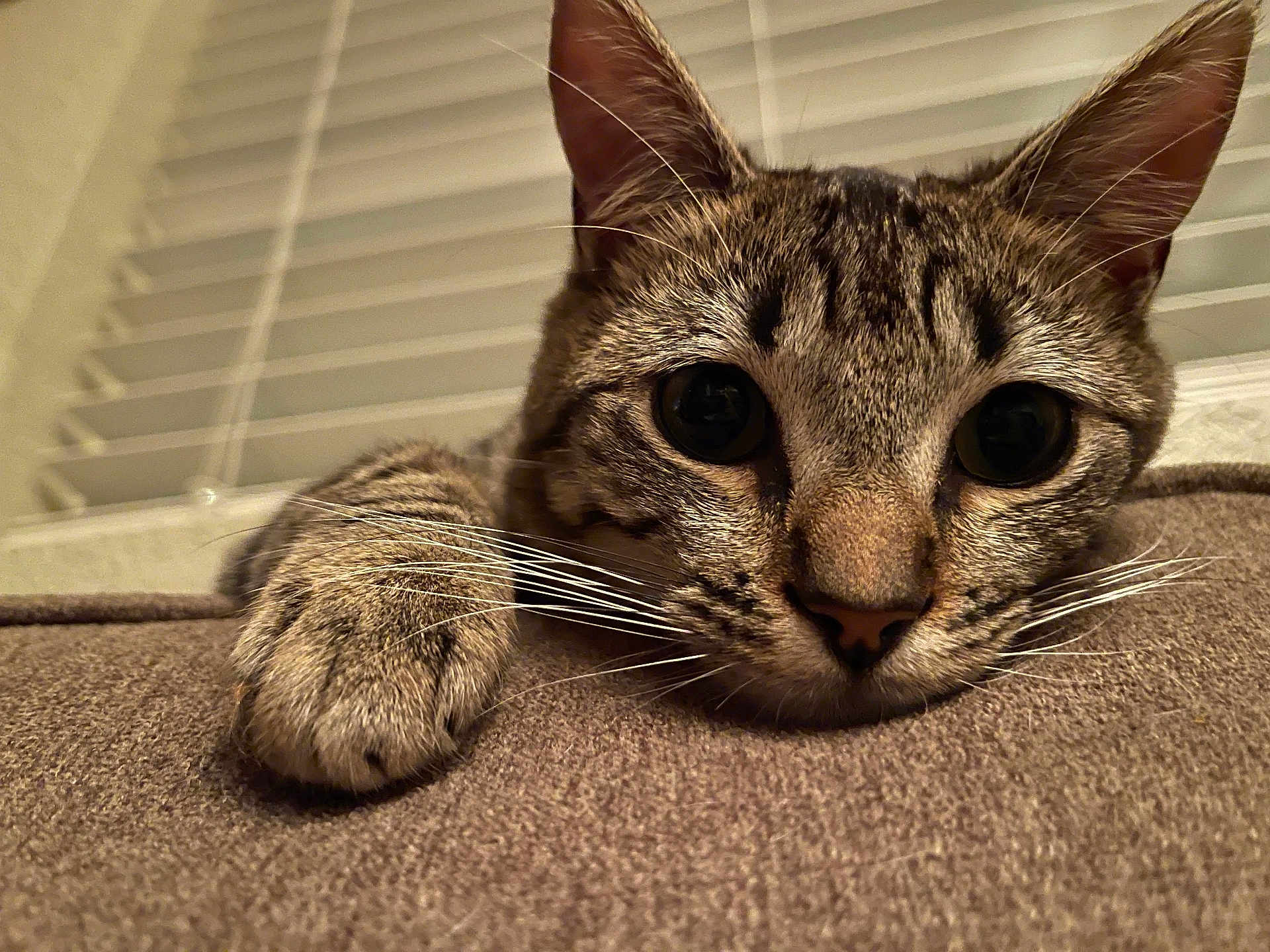 Romeo