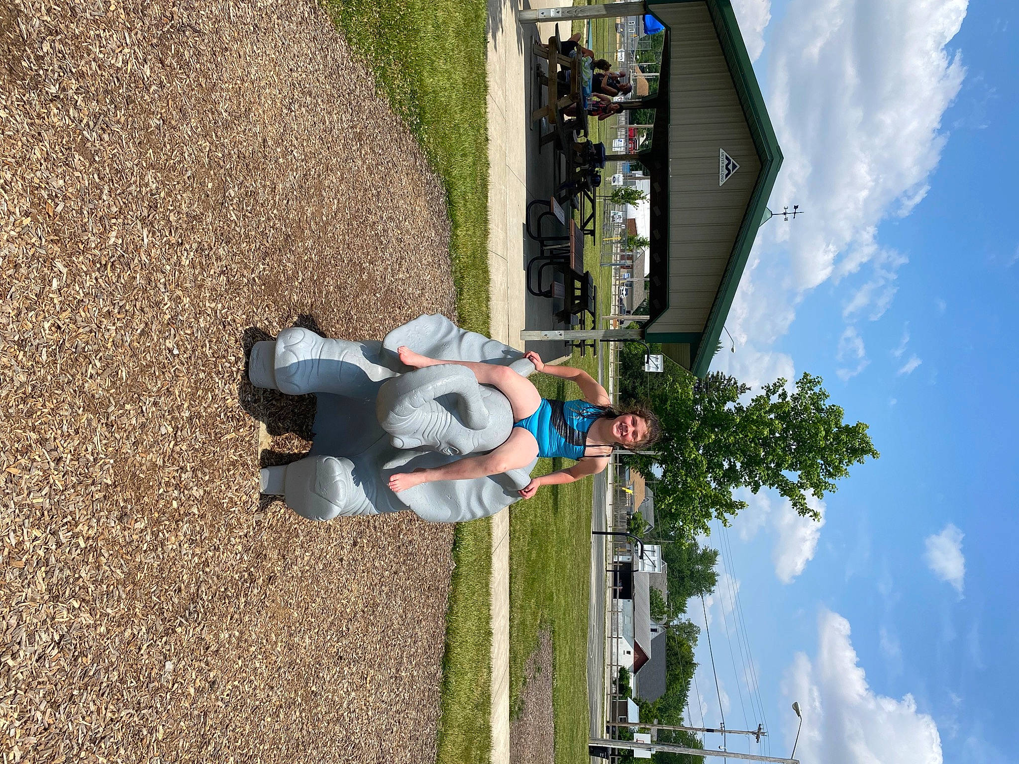 Harmony is registered to the contest to win money with this photo: adventure, auto_part, cloud, cumulus, fun, grass, green, joy, landscape, leisure, machine, person, plant, pole, public_utility, recreation, rolling, sky, travel, tree