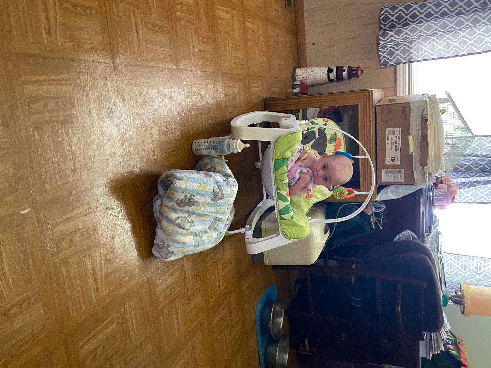 Scarlett joined the competition — help win amazing prizes! building, comfort, floor, flooring, hardwood, house, living_room, machine, person, plant, room, shelf, shelving, toy, visual_arts, wood, wood_flooring