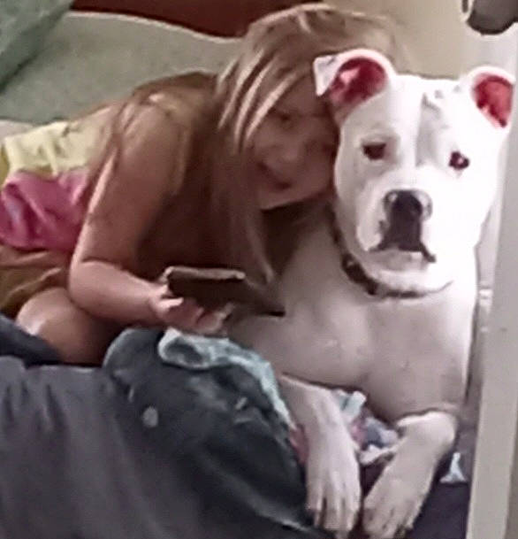 Luna is registered to the contest to win money with this photo: canidae, carnivore, comfort, companion_dog, cordoba_fighting_dog, dog, dog_breed, fawn, jaw, non_sporting_group, snout, sporting_group, terrestrial_animal, working_animal