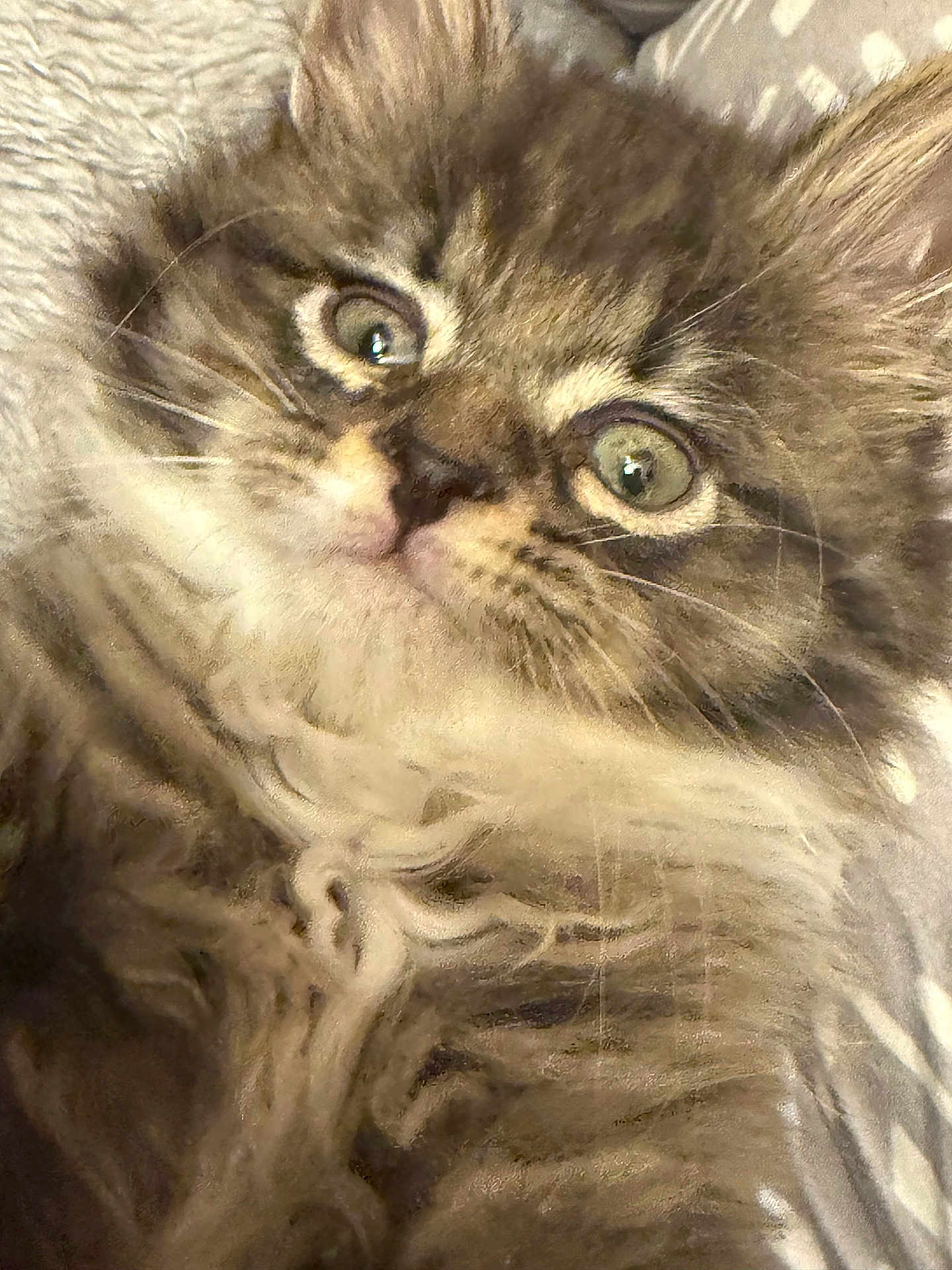 Chloe