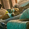 dog, sleeping, resting, brown_and_white, pet, animal, couch, cushions, blanket, indoors, home, cozy, relaxed, close_up, portrait, soft_light, textured_fabric, lounging, nap, comfortable