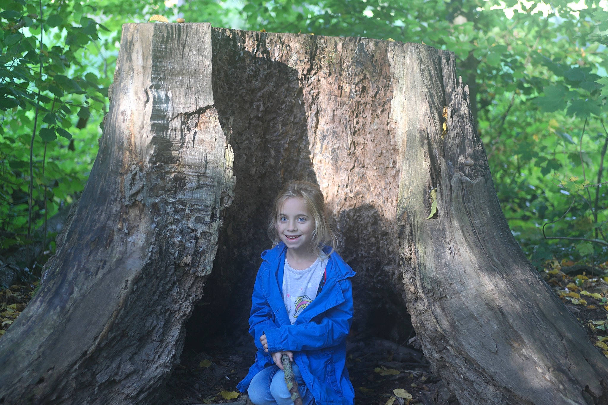 Kylliana participe au concours pour gagner de l'argent avec cette photo : branch, electric_blue, forest, fun, grass, grove, joy, jungle, leisure, natural_environment, natural_landscape, people_in_nature, person, plant, rock, sitting, smile, terrestrial_plant, tree, trunk