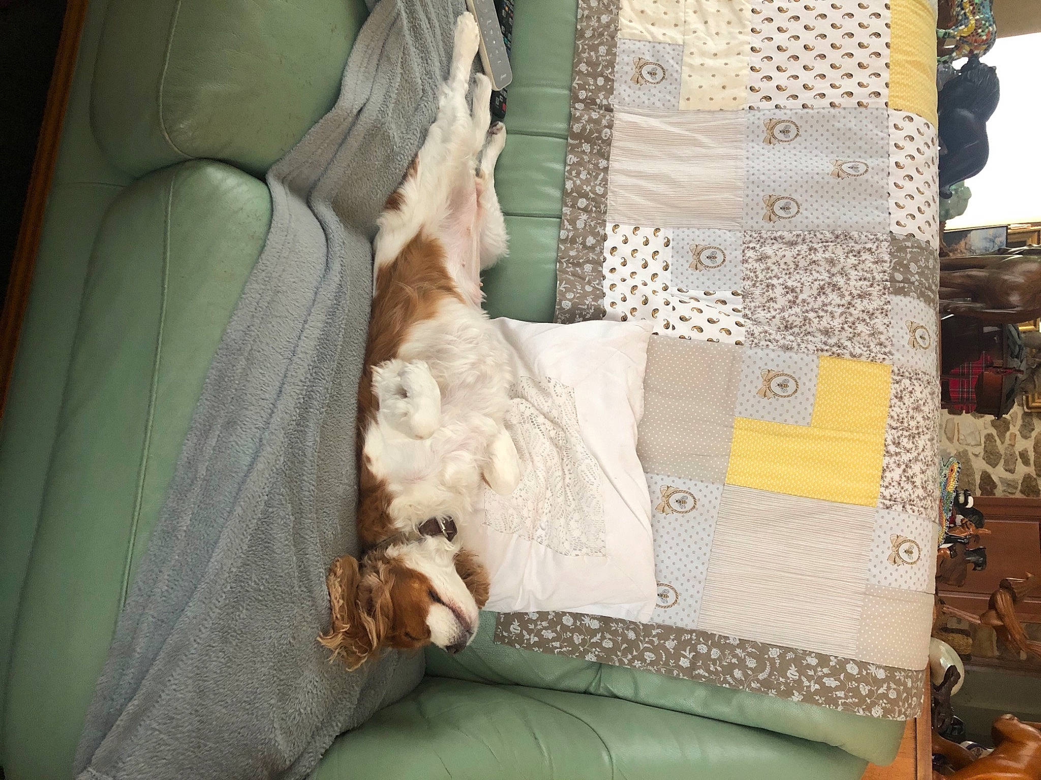 Fidjy participe au concours pour gagner de l'argent avec cette photo : cushion, fawn, linens, pillow, textile