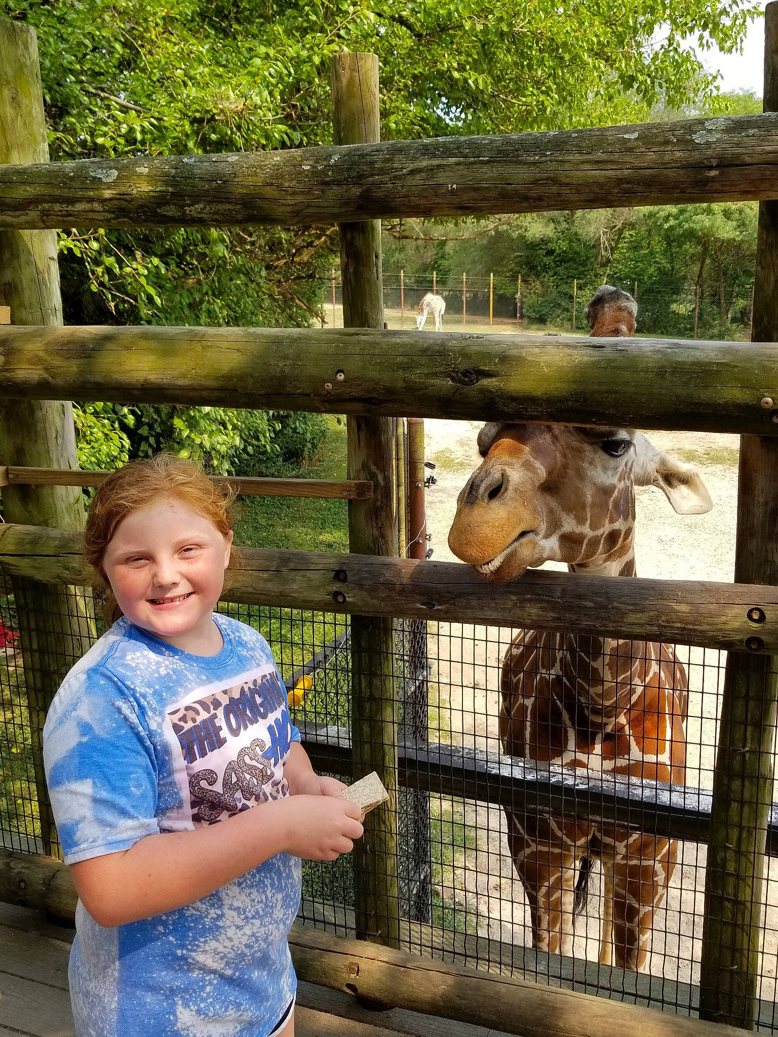 Jayla is registered to the contest to win money with this photo: fawn, fence, happy, home_fencing, joy, landscape, leisure, mammal, natural_environment, person, recreation, smile, split_rail_fence, t_shirt, terrestrial_animal, toddler, travel, tree, vertebrate, wire_fencing