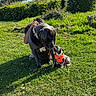 dog, puppy, grass, outdoor, person, harness, greenery, sunlight, nature, interaction, animal, pet, cute, playful, affection, collar, canine, friendship, field, daylight