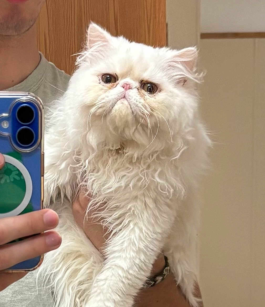 Pip