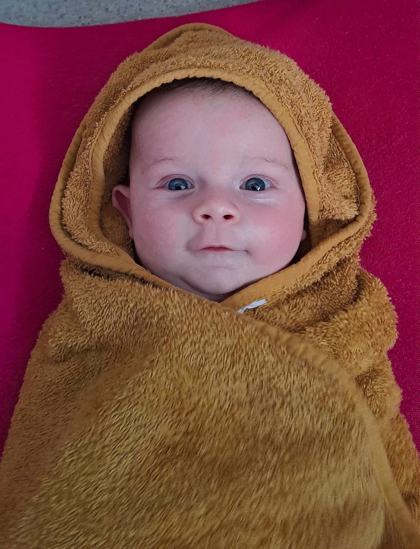 Luc participe au concours pour gagner de l'argent avec cette photo : baby, towel, hood, face, blue_eyes, skin, blanket, infant, child, portrait, expression, closeup, cute, warm, soft_texture, pink_background, wrapped, lying_down, indoors, person