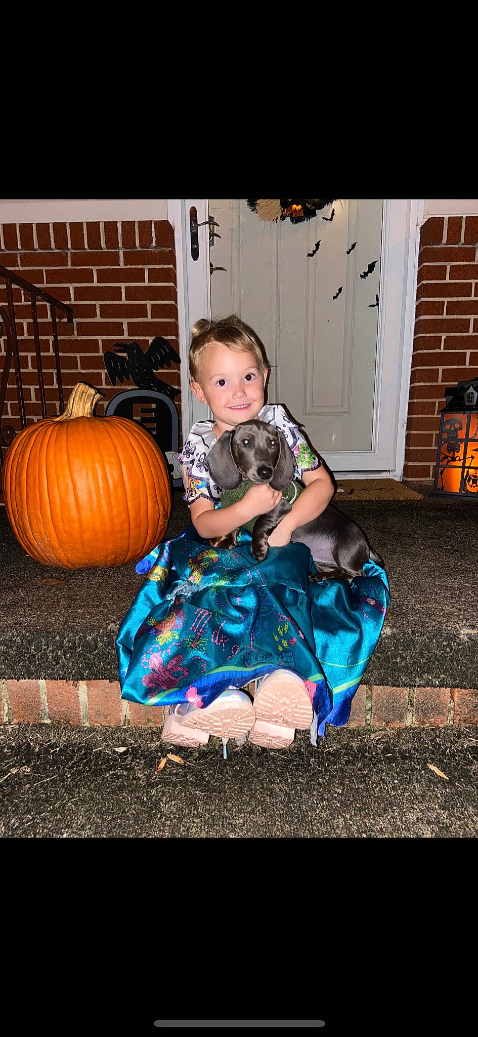 Stevie joined the competition — help win amazing prizes! calabaza, child, clothing, cucurbita, door, dress, eye, flash_photography, gourd, grass, happy, head, human_body, joy, natural_foods, orange, person, pumpkin, squash, tints_and_shades