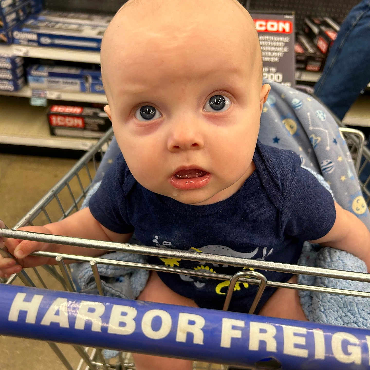 Remington joined the competition — help win amazing prizes! baby, basket, bicycle, clothing, crib, face, furniture, head, infantbed, jeans, pants, person, photography, portrait, shelf, shop, shopping, shoppingcart, transportation, vehicle