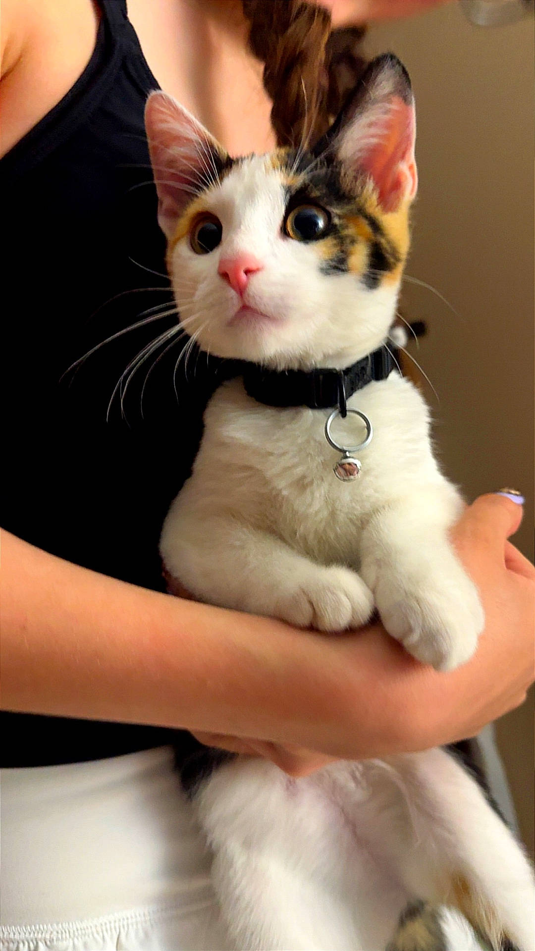 Callie