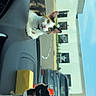 american_flag, animal, building, calico_cat, car, car_interior, cat, collar, curious, dashboard, daytime, decoration, flag, looking, outdoor, parking_lot, pet, sky, toy, window