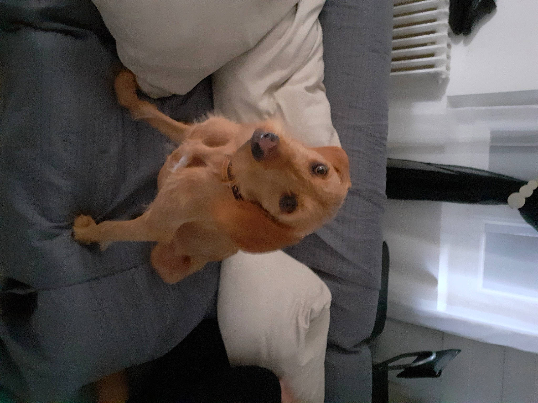 Ruby participe au concours pour gagner de l'argent avec cette photo : abdomen, arm, clinic, comfort, elbow, event, finger, hand, health_care, health_care_provider, hospital, joint, knee, leg, medical, medical_assistant, medical_equipment, medical_procedure, patient, service