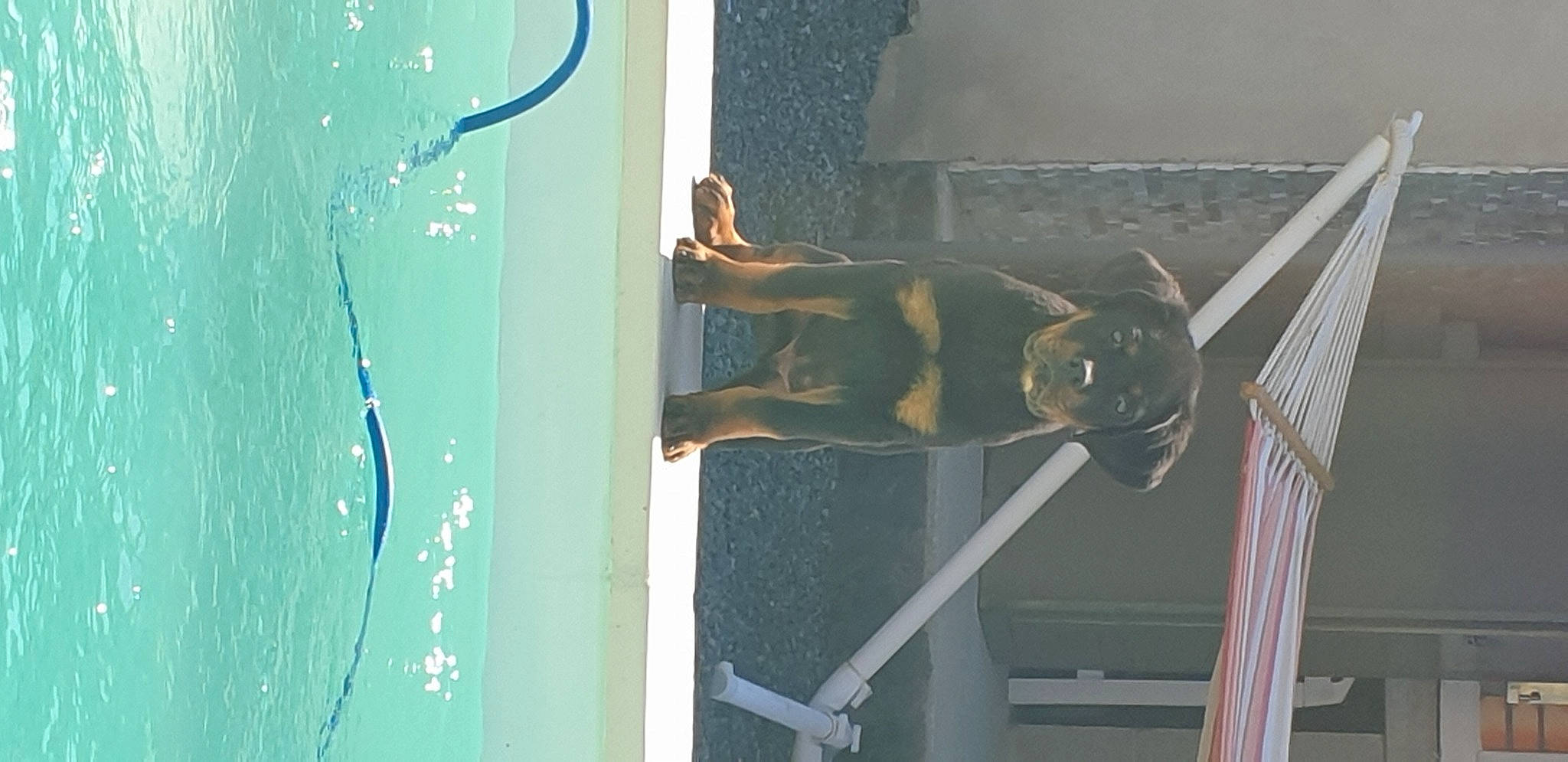 Sheitan participe au concours pour gagner de l'argent avec cette photo : art, concrete, elbow, facade, glass, leisure, metal, paint, reflection, room, sculpture, visual_arts, wall, water, window, wood