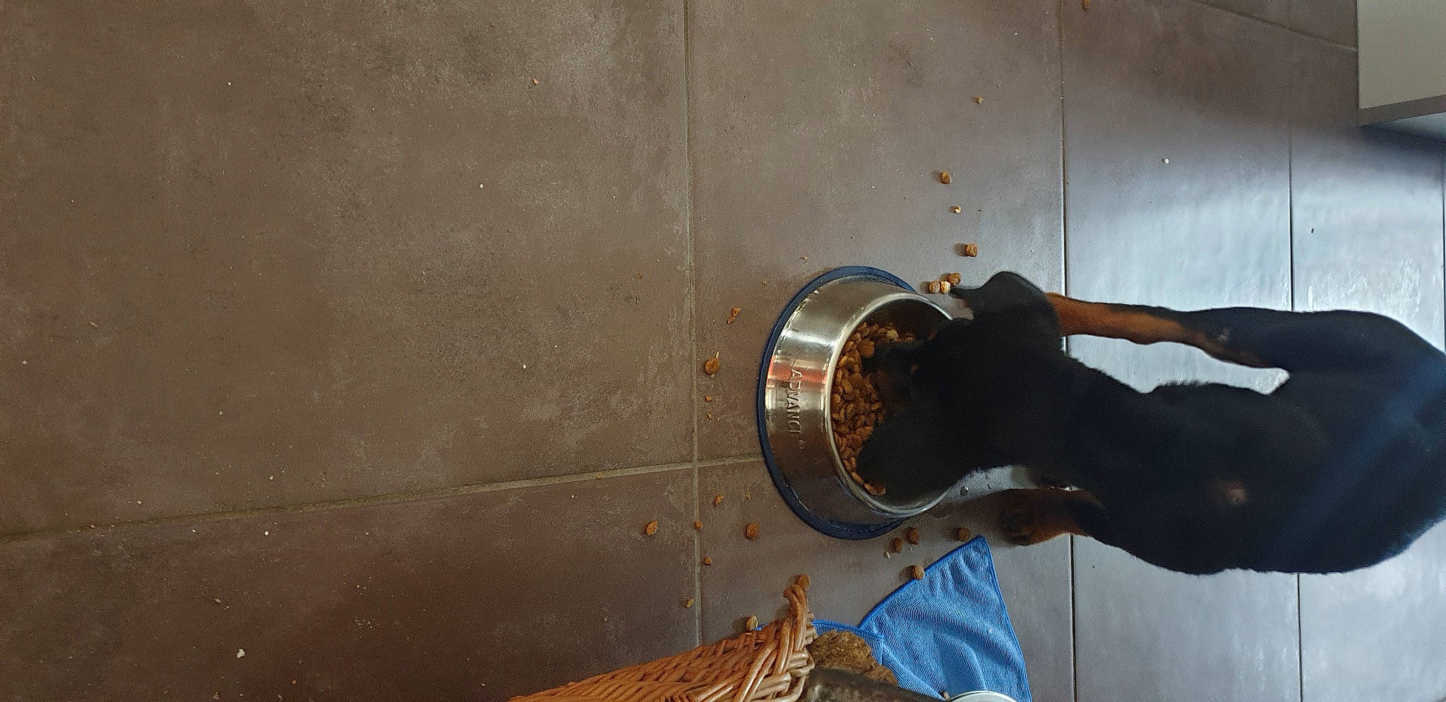 Sheitan participe au concours pour gagner de l'argent avec cette photo : brickwork, ceiling, concrete, daylighting, elbow, flooring, gas, hardwood, hat, human_leg, metal, outdoor_shoe, pipe, plaster, room, shadow, walking_shoe, wood, wood_stain, wrist