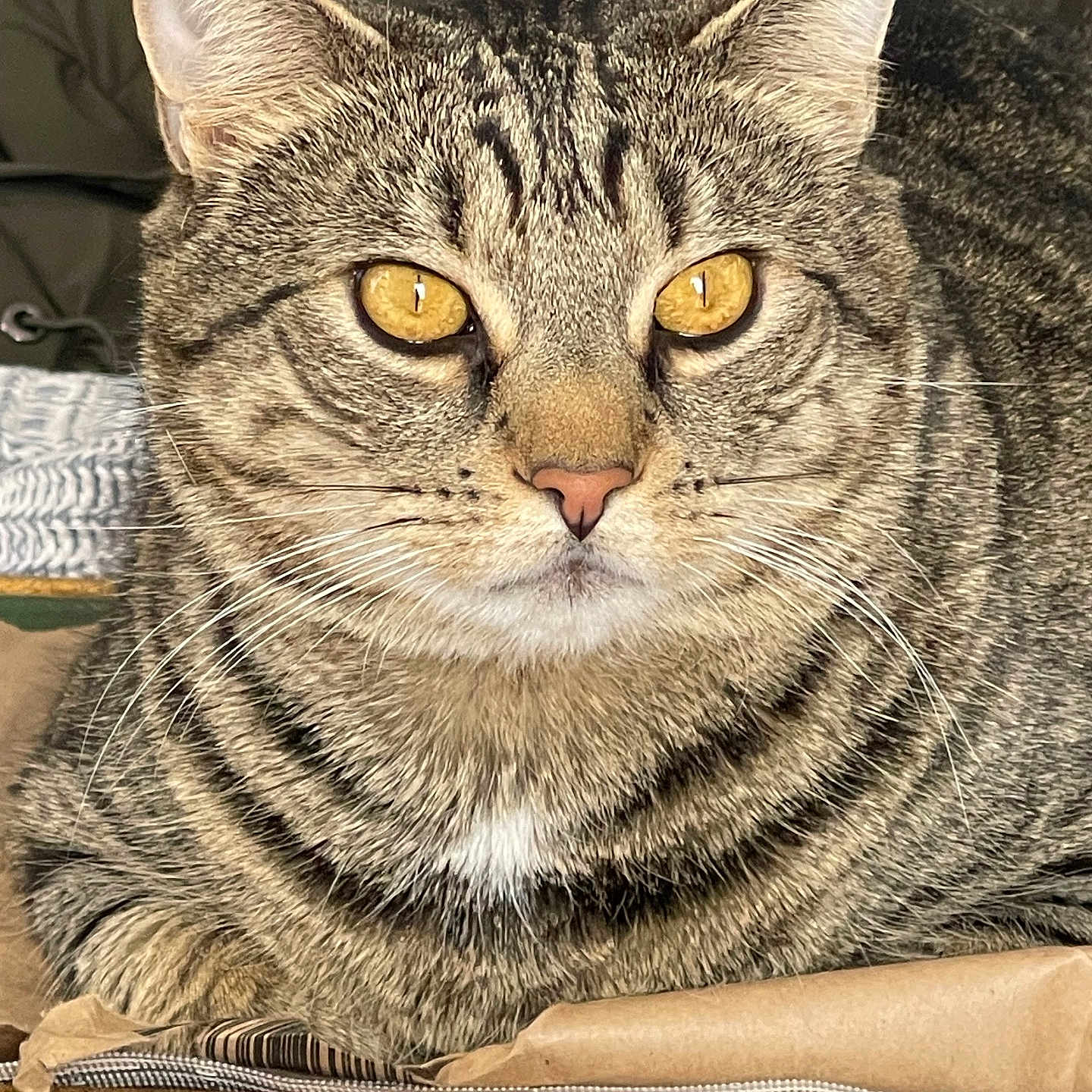 Stanley