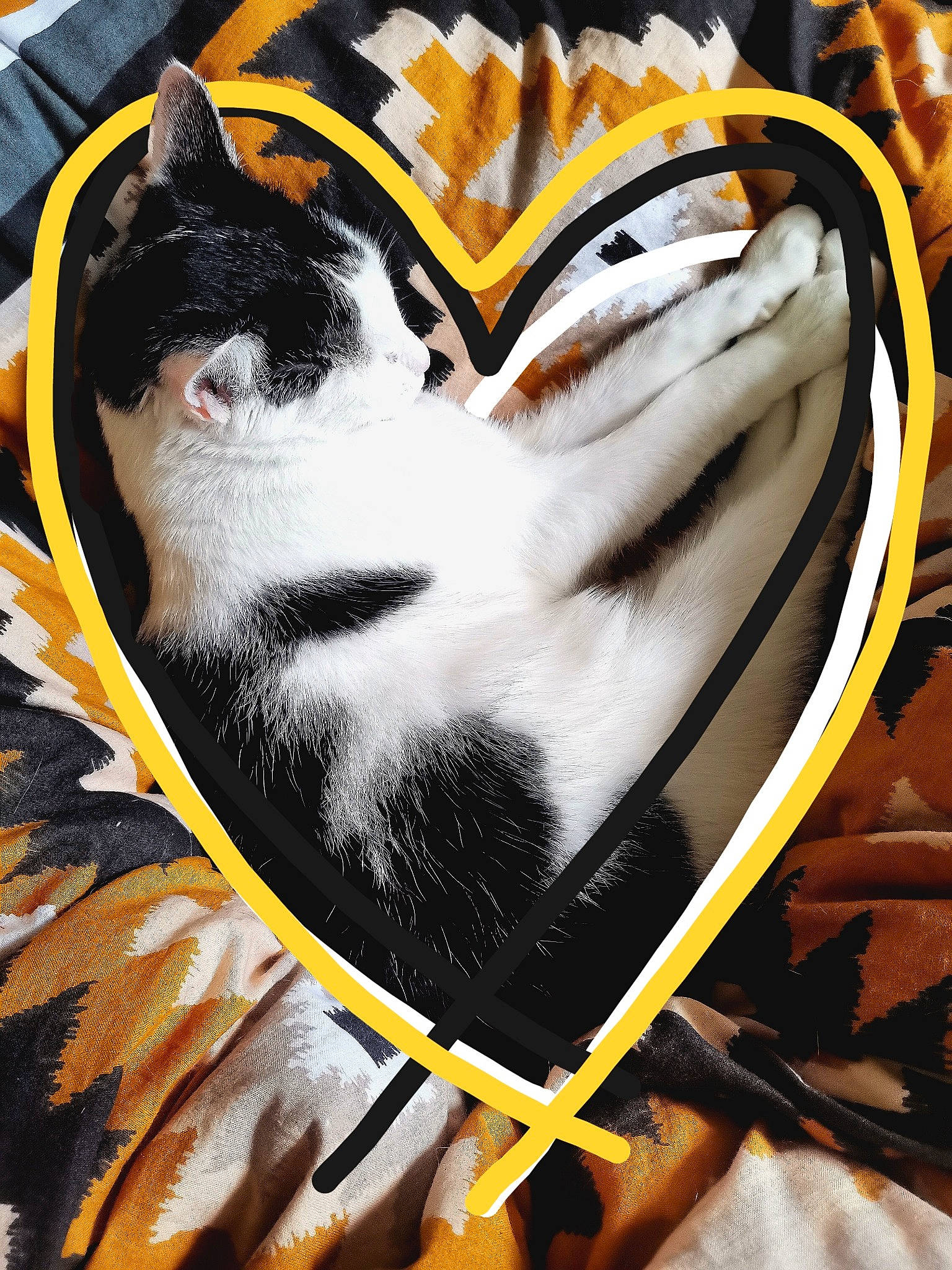 Charlie a rejoint le concours — aidez-le/la à gagner de superbes lots ! art, automotive_wheel_system, carnivore, cat, domestic_short_haired_cat, felidae, fur, graffiti, grass, illustration, mural, orange, painting, small_to_medium_sized_cats, snout, sports_gear, tail, visual_arts, whiskers, yellow