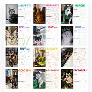 Rambie joined the competition — help win amazing prizes! cat, cats, calendar, website, screenshot, online_store, shopping, product_listing, pet, feline, monthly_calendar, 2027, advertisement, free_shipping, happy_customers, orange_cat, black_cat, white_cat, product_photo, mobile_browser