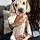 Bugsy