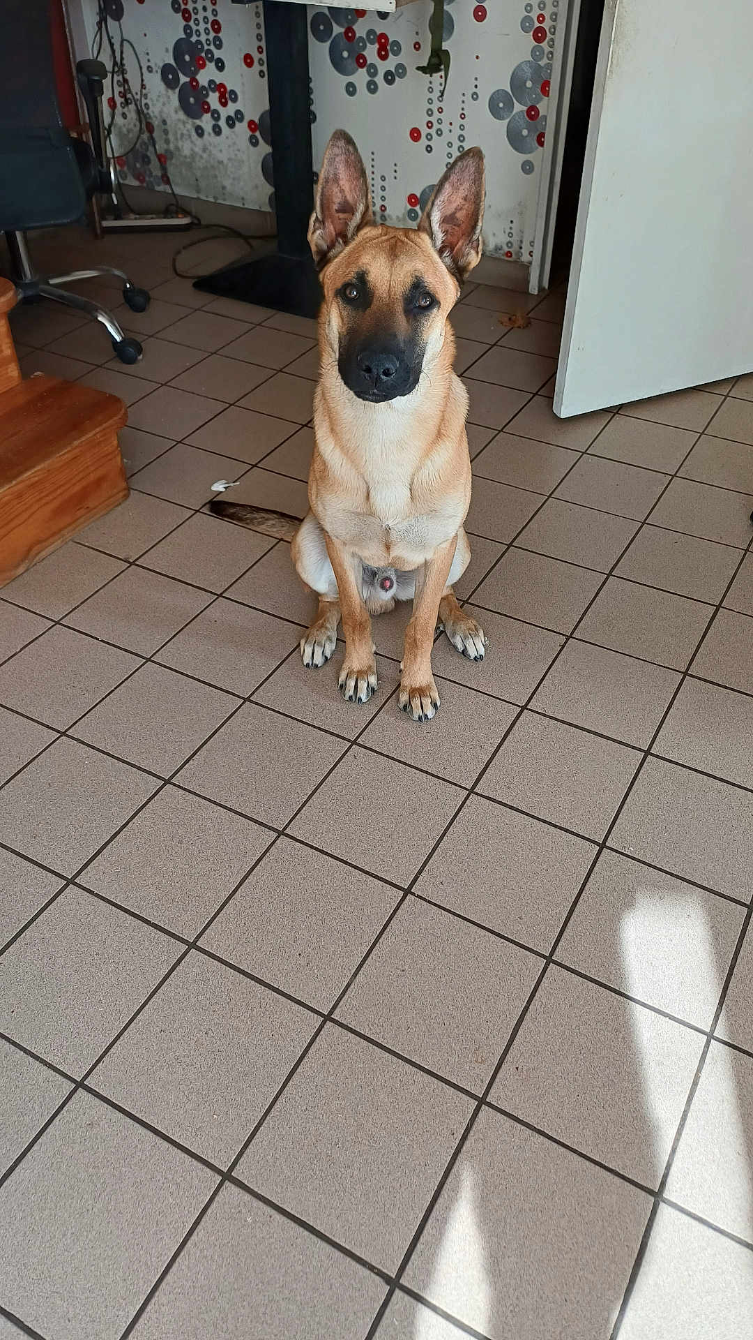 Aïko