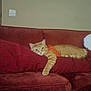 Pickles joined the competition — help win amazing prizes! cat, orange_tabby, couch, pillow, indoor, relaxed, pet, furniture, living_room, animal, resting, cozy, home, domestic_cat, striped, sleepy, comfort, feline, red, orange