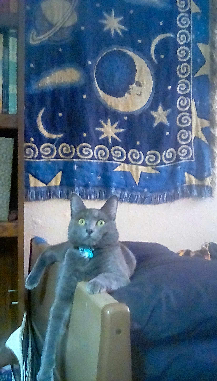 Gandalf The Grey