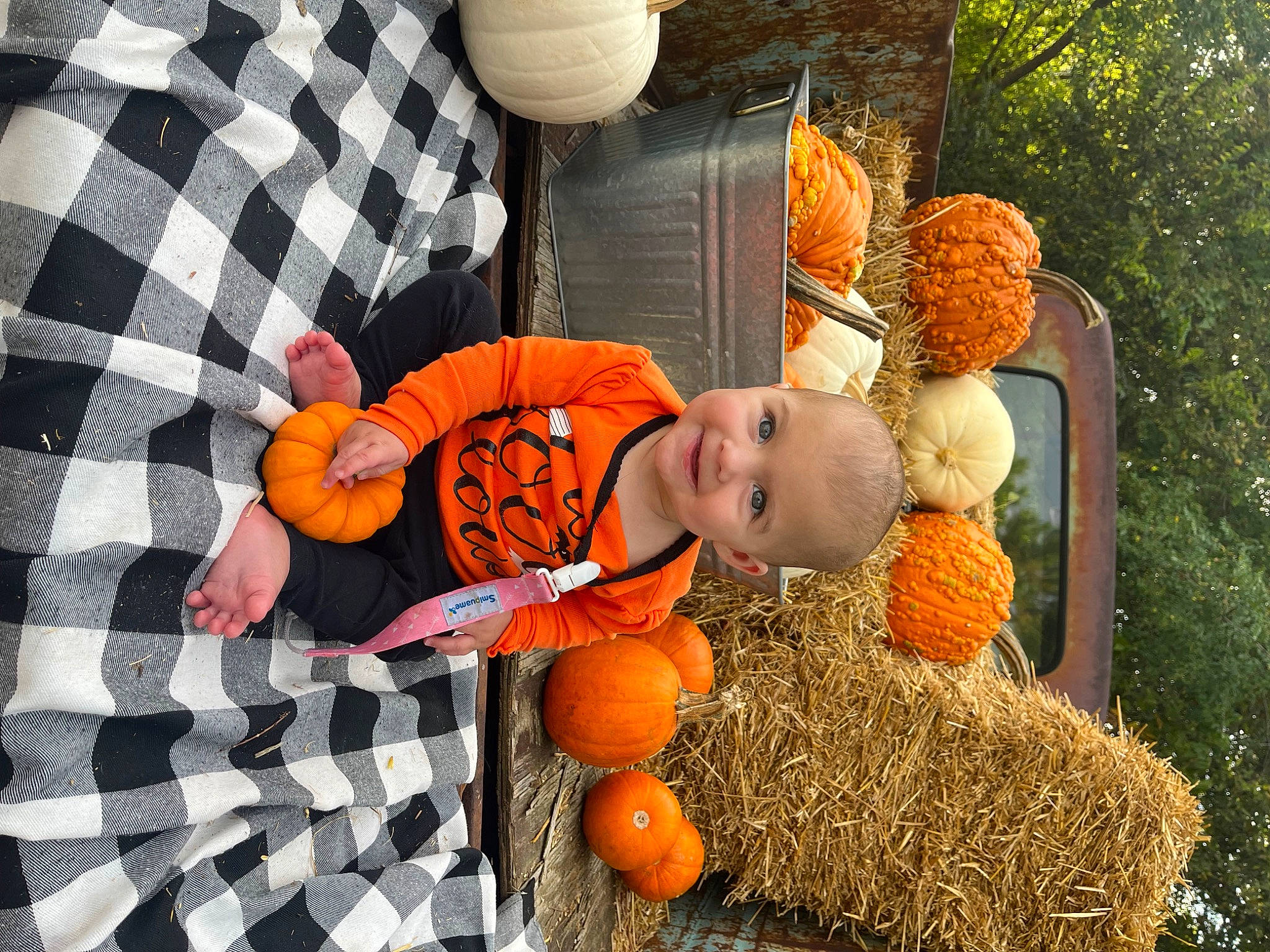 Brooklynne is registered to the contest to win money with this photo: calabaza, cucurbita, fruit, gourd, grass, hat, joy, local_food, natural_foods, orange, pattern, person, plaid, plant, produce, pumpkin, squash, tartan, toddler, tree
