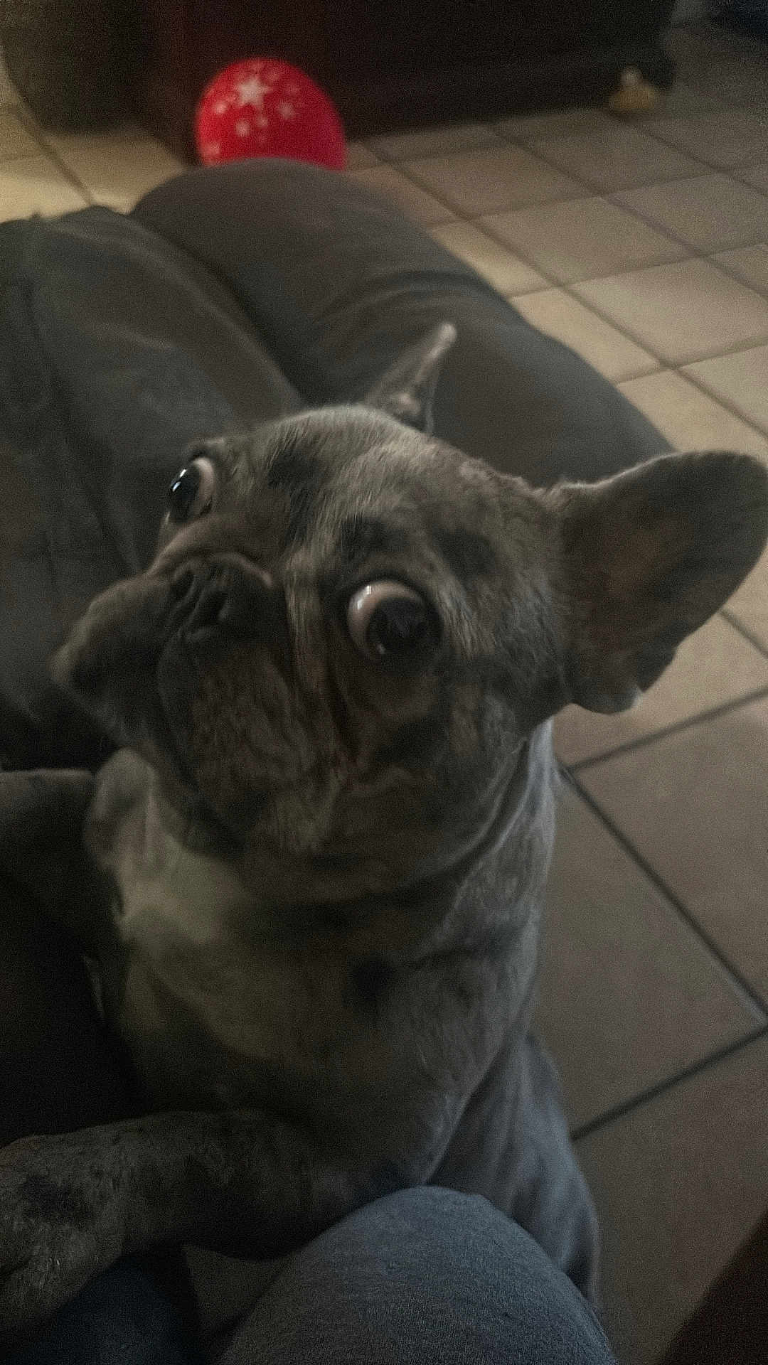 Roxy