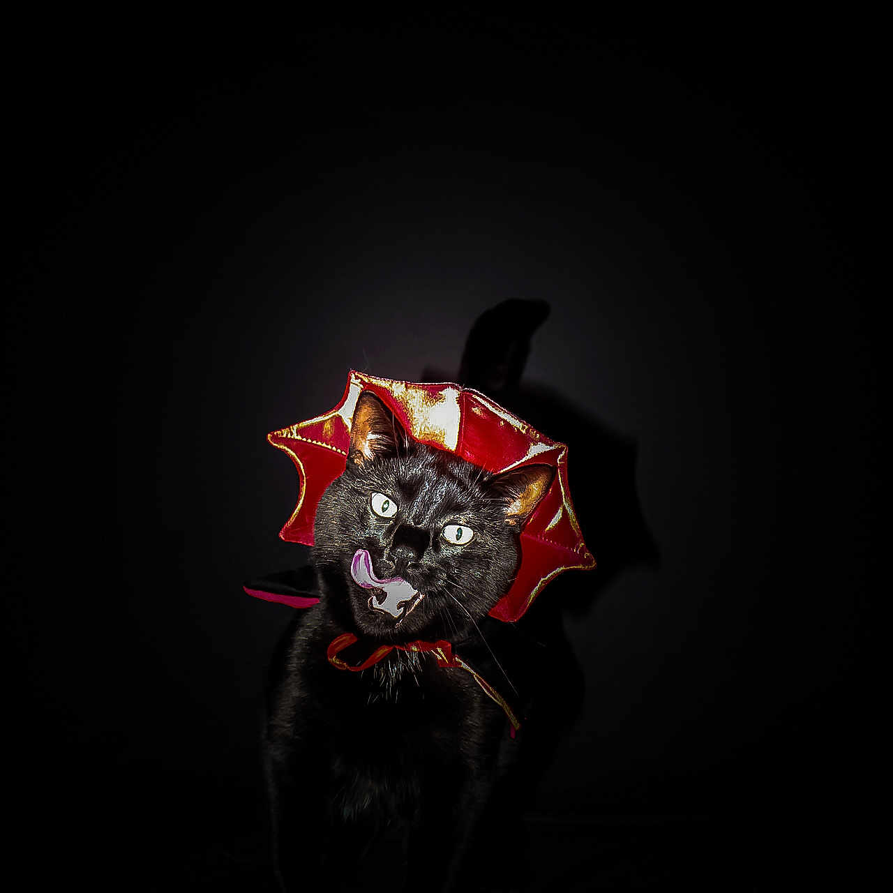 Binx