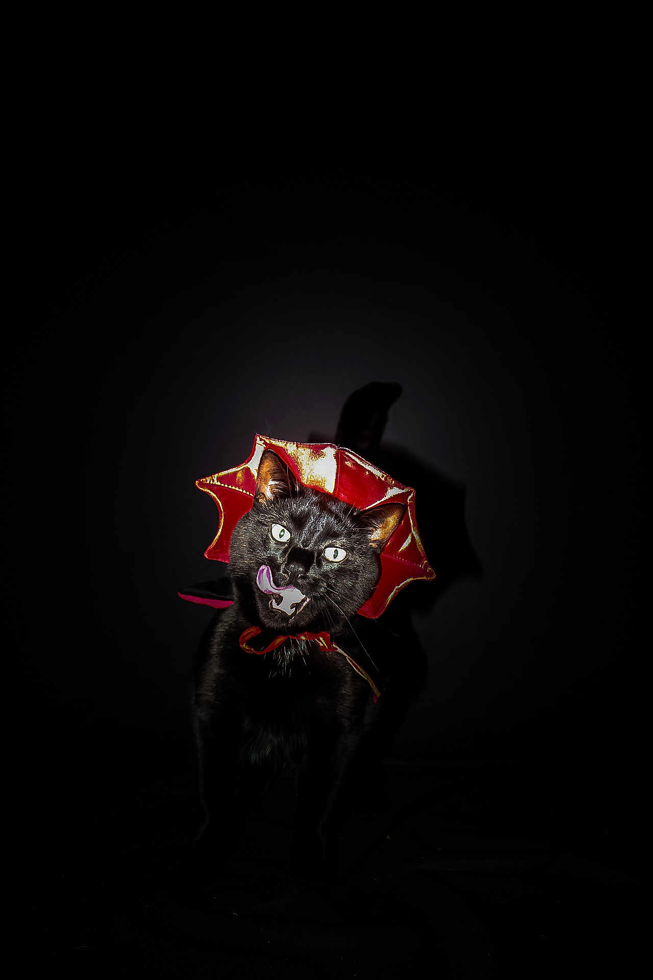 Binx joined the competition — help win amazing prizes! cat, black_cat, pet, animal, costume, collar, licking, tongue_out, dark_background, portrait, feline, cute, close_up, whiskers, ears, eyes, black_fur, shadow, studio_shot, playful