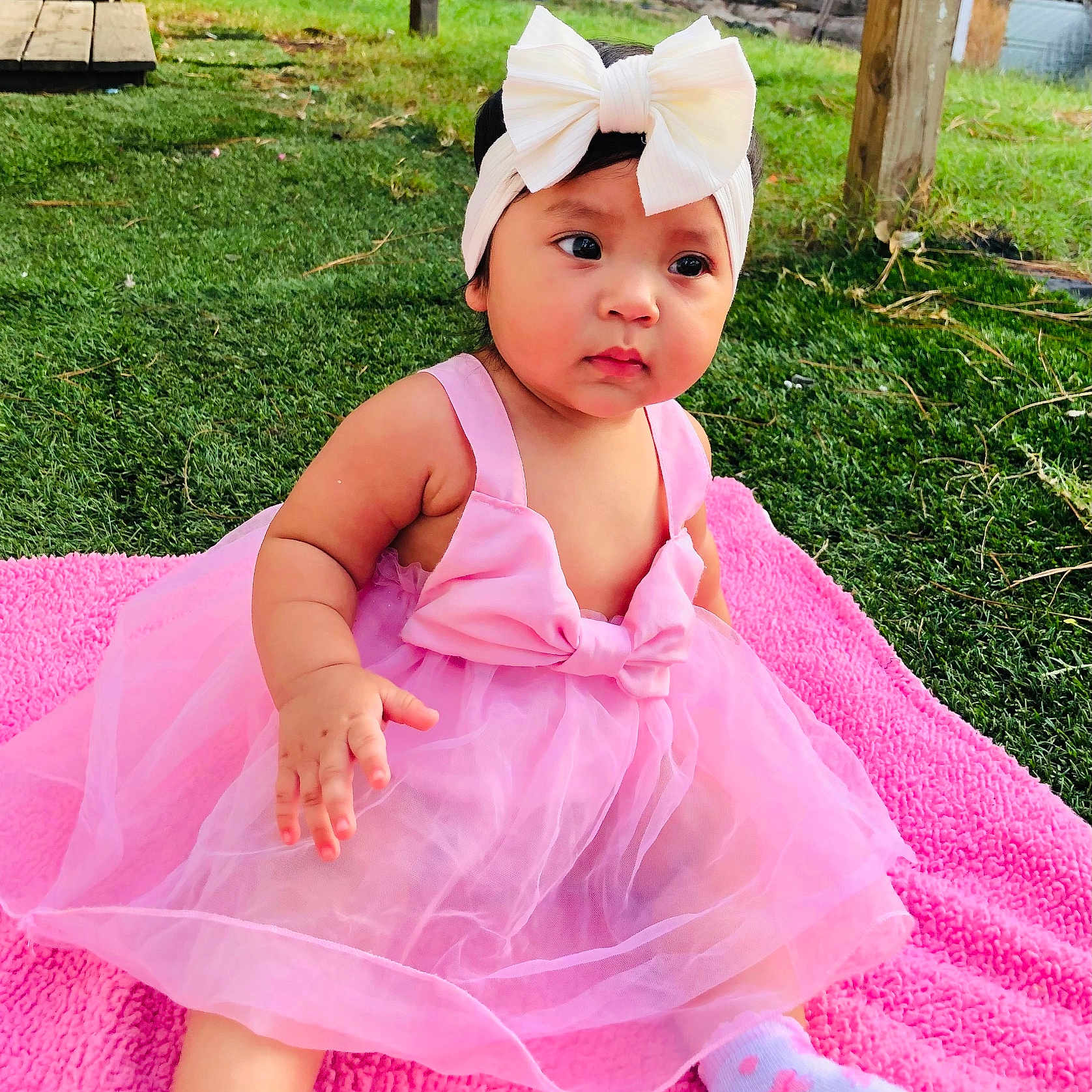 Ailany Charlotte is registered to the contest to win money with this photo: baby, backyard, bow, child, cute, face, fashion, grass, hair_bow, hand, infant, outdoor, photography, pink_blanket, pink_dress, portrait, sitting, sock, tulle, wide_eyed