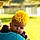 Rayne