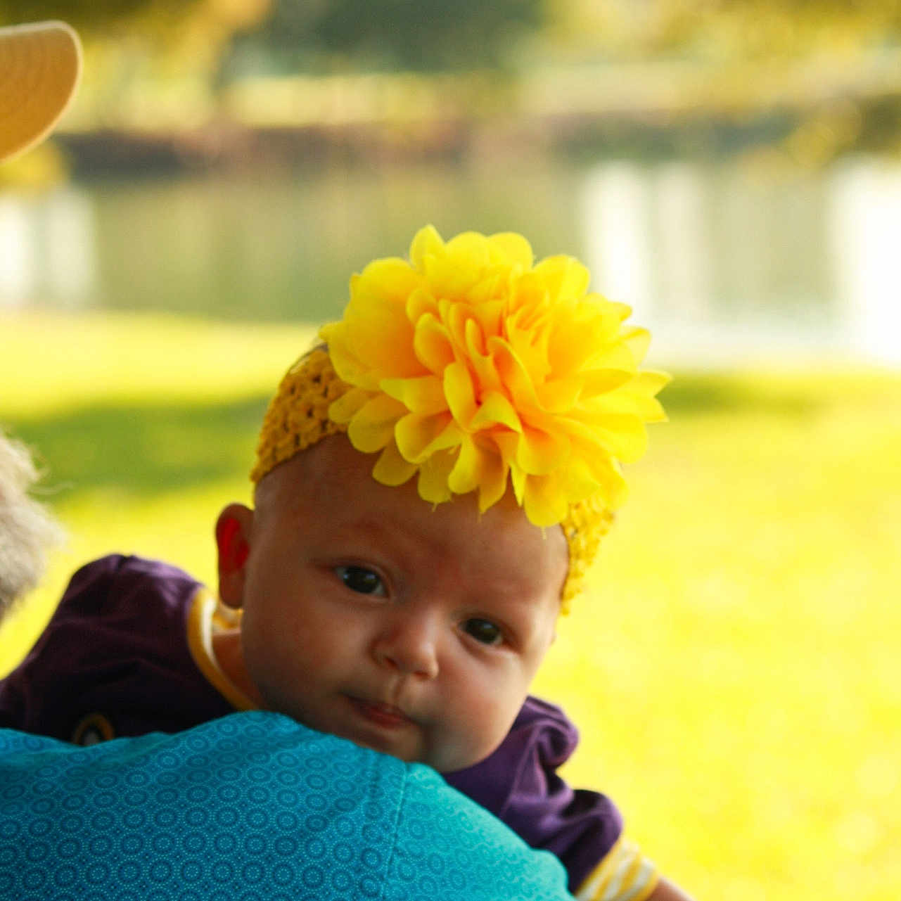 Rayne joined the competition — help win amazing prizes! baby, child, clothing, cute, family, flower_headband, greenery, hand, head, infant, nature, outdoor, person, portrait, shallow_depth_of_field, shoulder, soft_focus, summer, sunlight, yellow