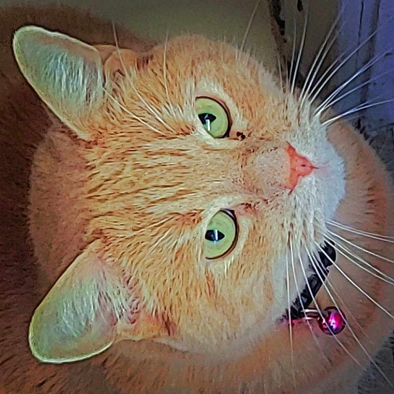 Fuzz
