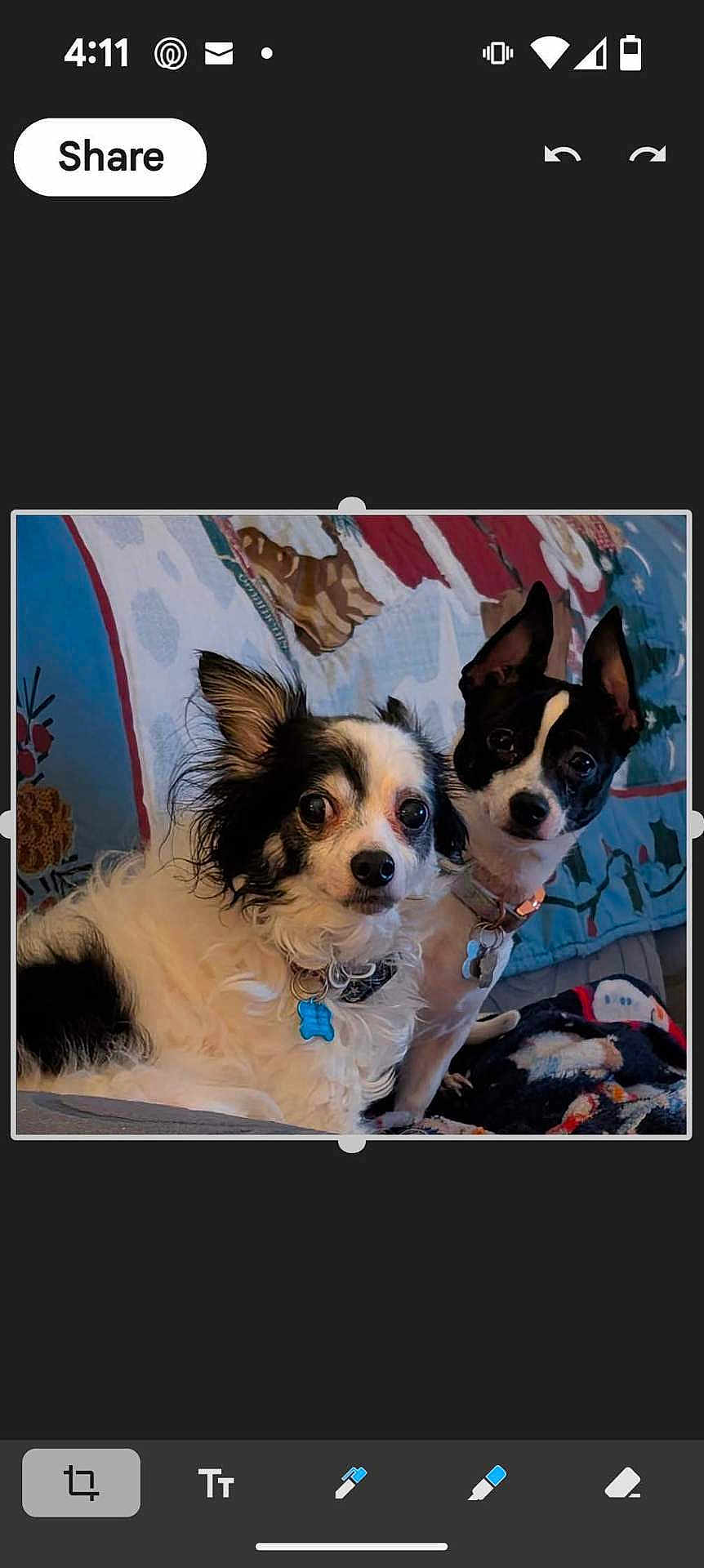 Sophie And Bandit