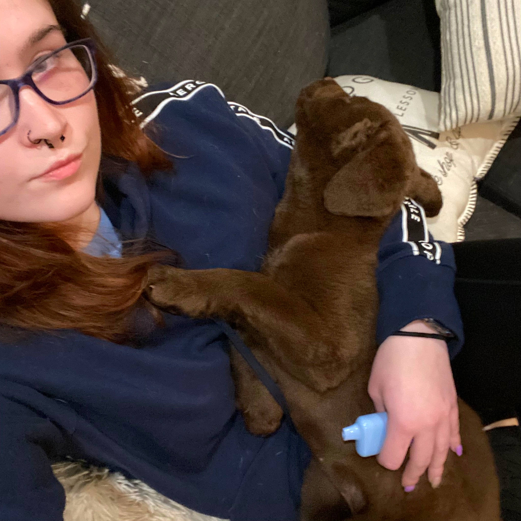 Freya joined the competition — help win amazing prizes! brown_hair, carnivore, comfort, companion_dog, dog_breed, ear, eyewear, fawn, felidae, fur, gesture, glasses, happy, head, human_leg, long_hair, selfie, small_to_medium_sized_cats, stuffed_toy, vision_care