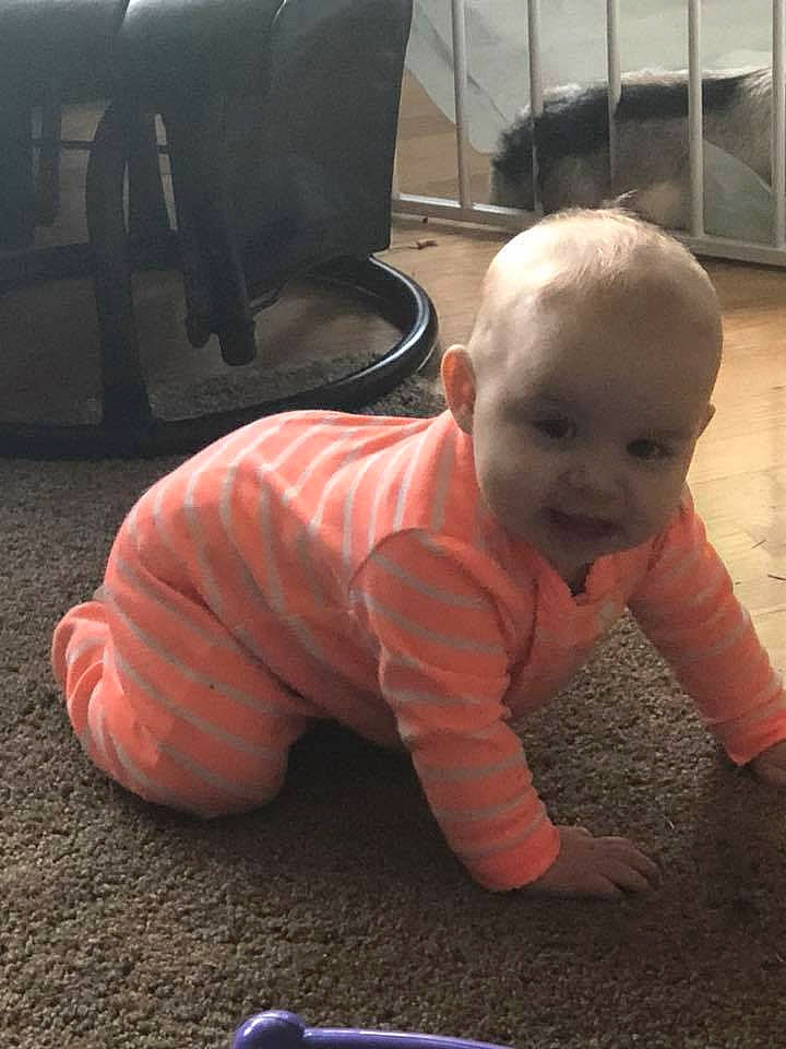 Hanna joined the competition — help win amazing prizes! arm, boy, child, crawling, day, fun, head, infant, person, play, sitting, skin, toddler