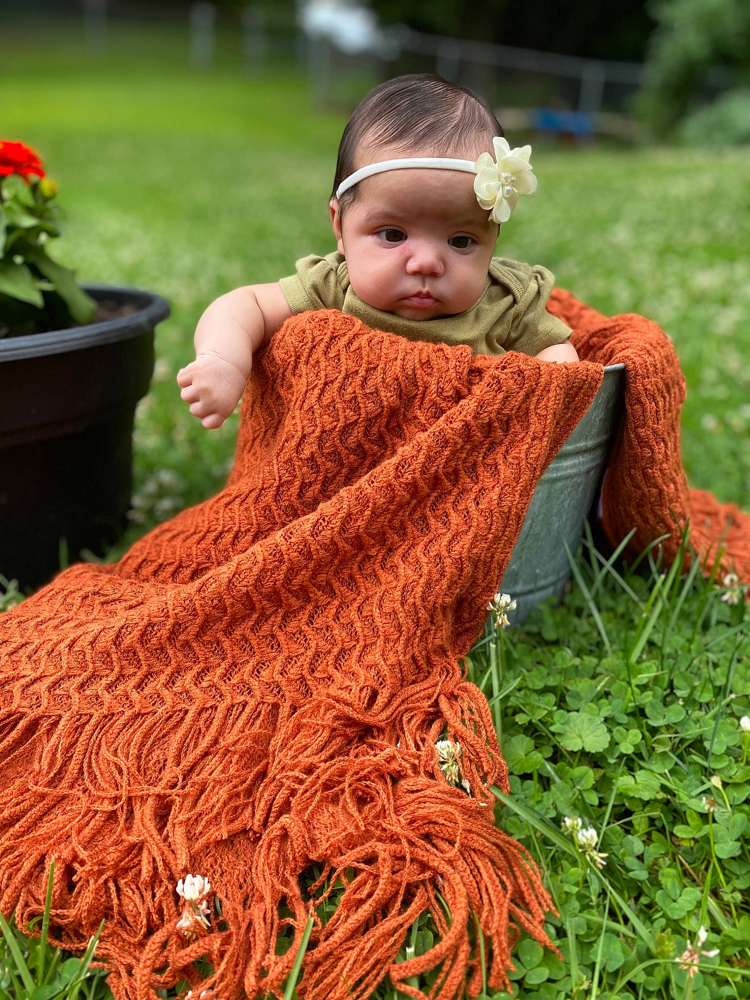 Maleah is registered to the contest to win money with this photo: art, baby, baby_toddler_clothing, costume, crochet, dress, flowerpot, fun, garden, grass, green, happy, outerwear, people_in_nature, person, plant, sitting, toddler, tradition, wool