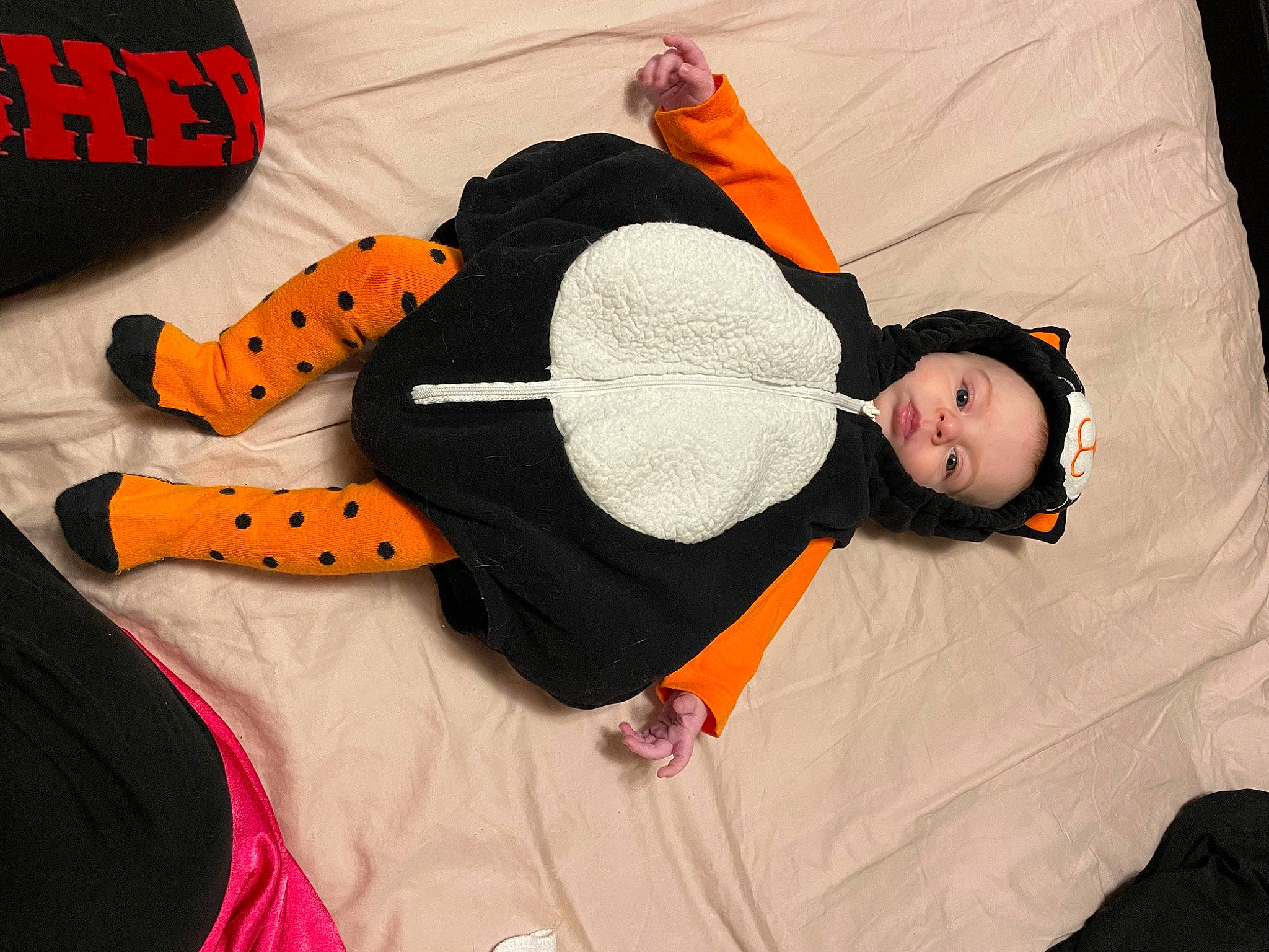 Sylvia joined the competition — help win amazing prizes! baby_products, child, comfort, costume, doll, fashion_accessory, fun, fur, hat, headwear, linens, orange, pattern, person, plush, room, sitting, sleeve, stuffed_toy, sunglasses