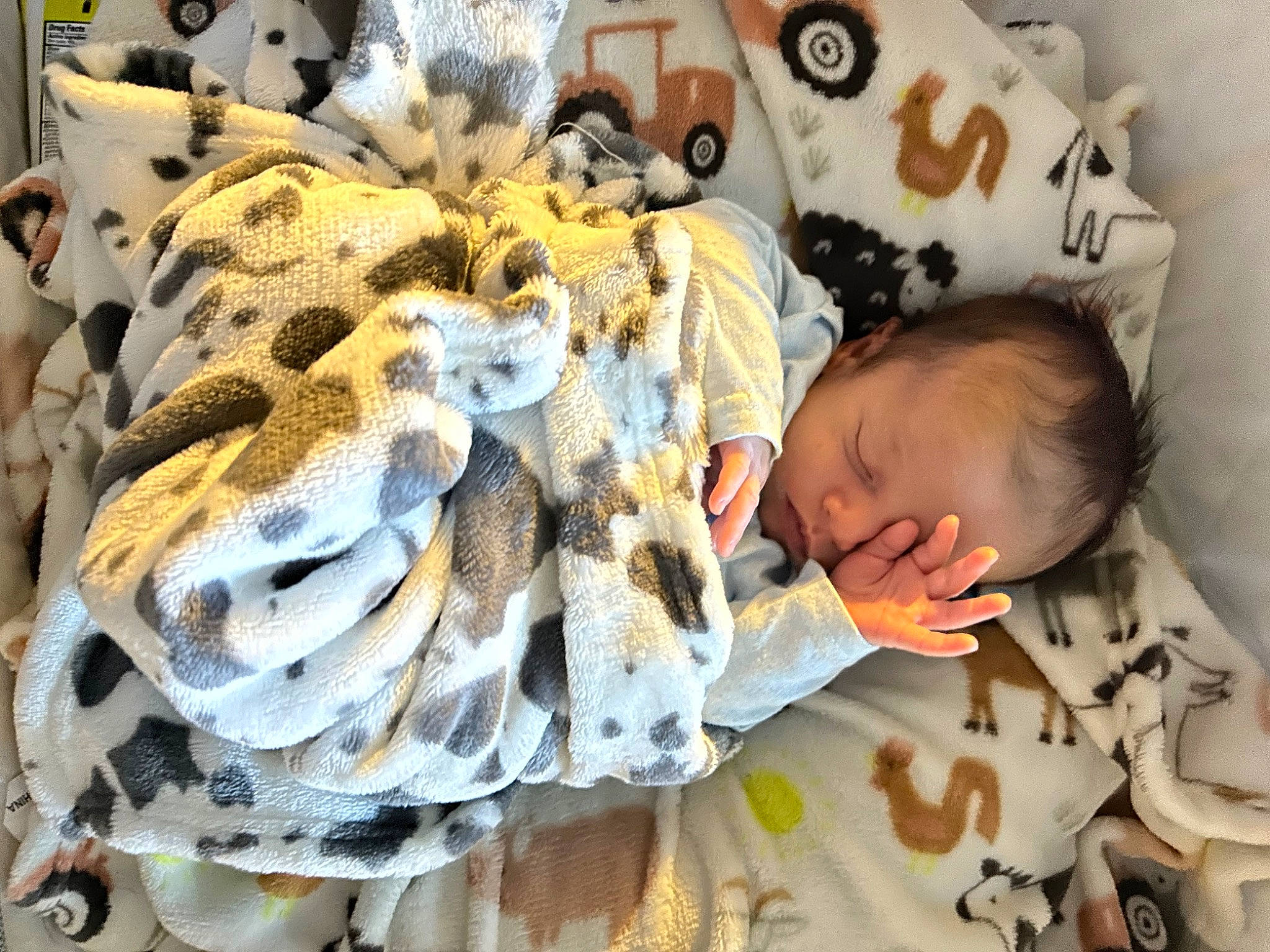 Chance is registered to the contest to win money with this photo: baby, baby_products, baby_toddler_clothing, bedding, bedtime, child, comfort, event, fashion_design, felidae, fur, linens, pattern, person, plush, product, room, stuffed_toy, textile, toddler