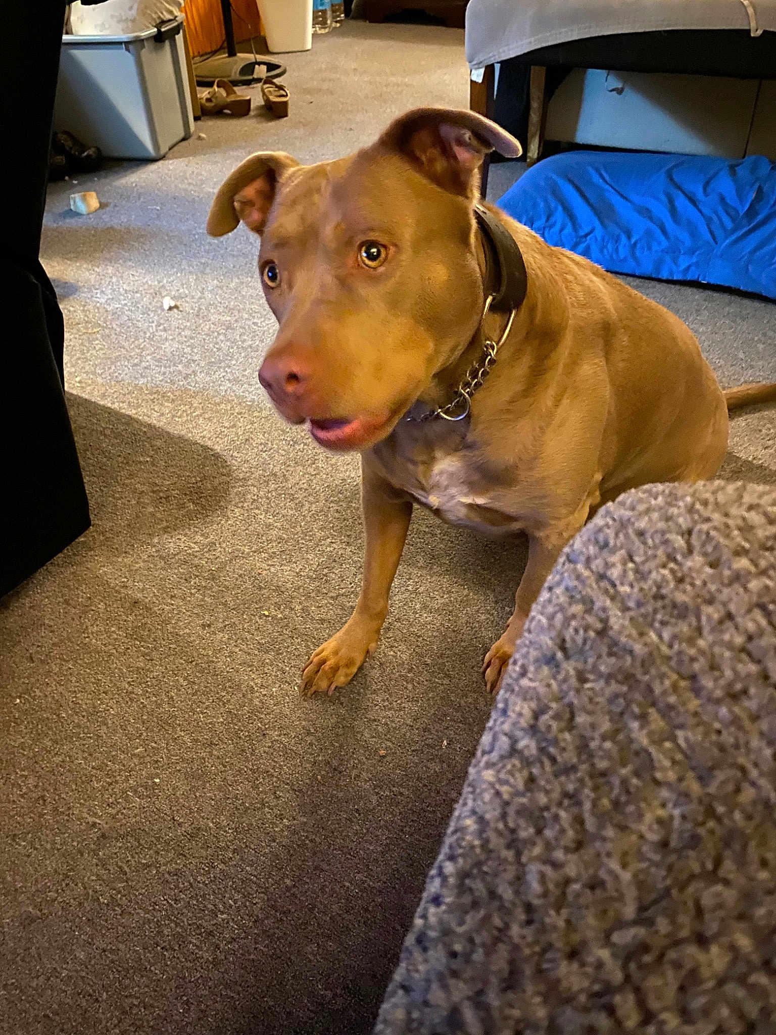 Tilly