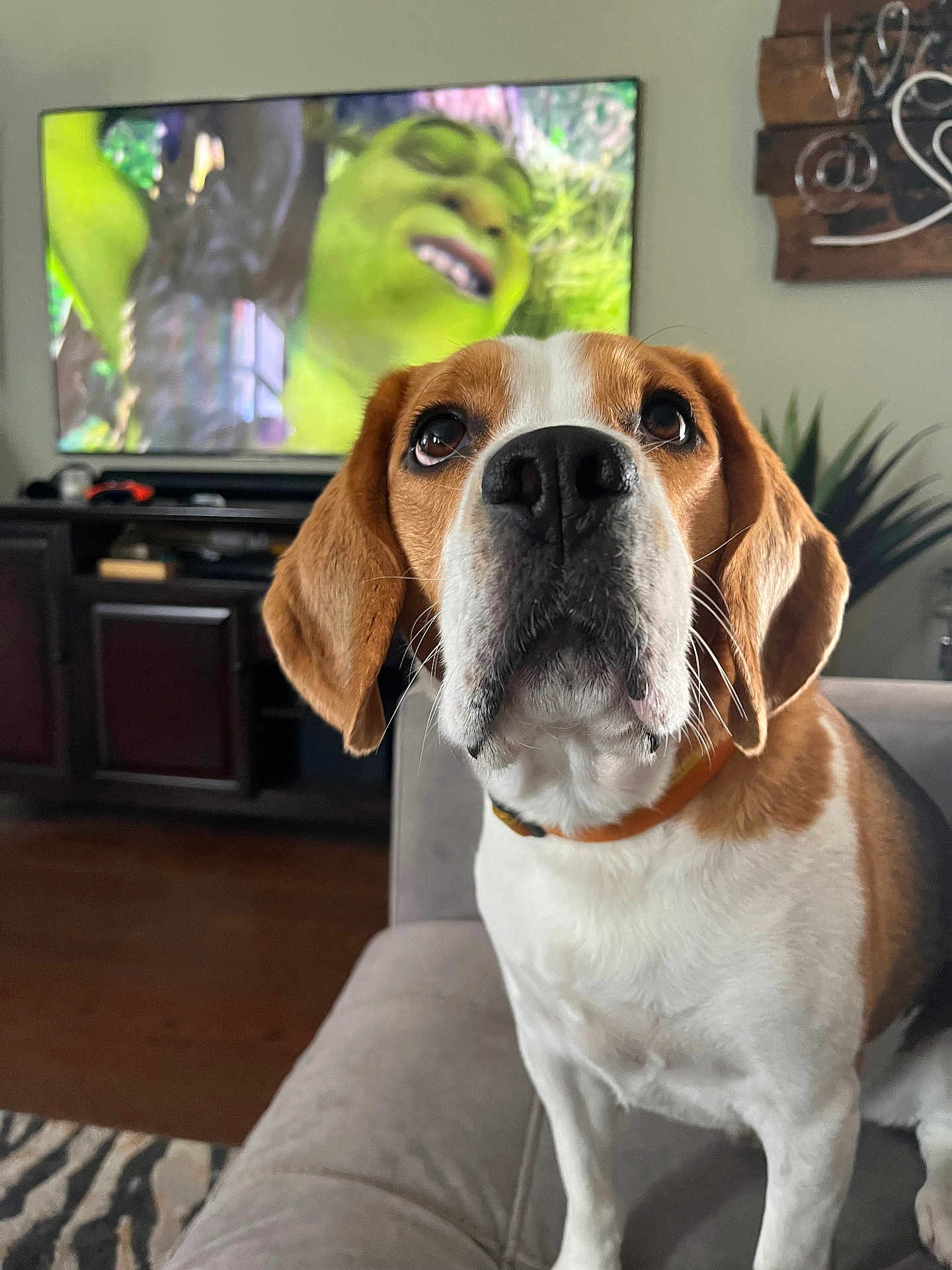 Waylon