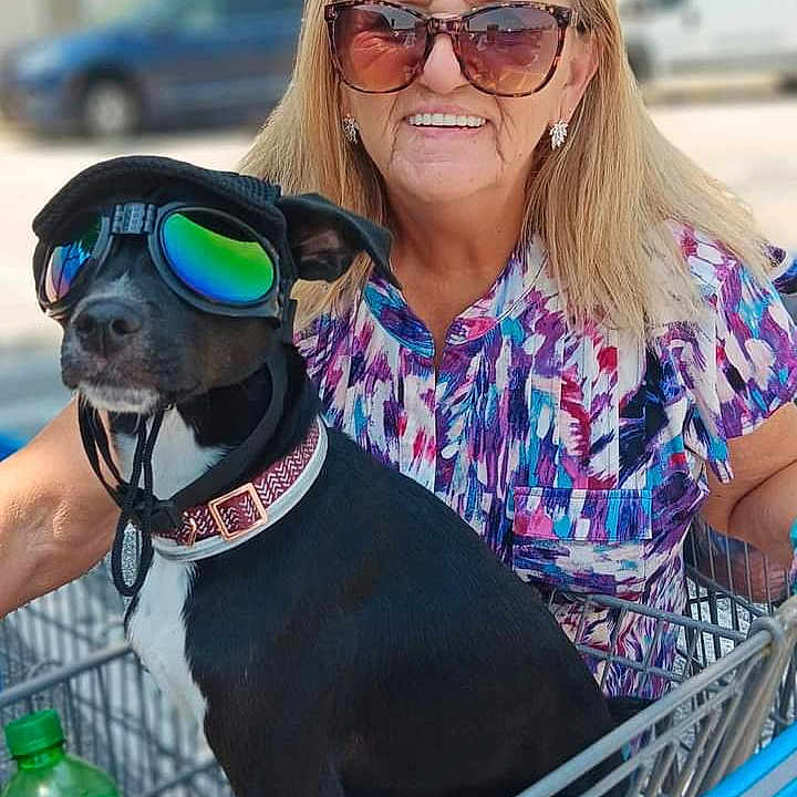 Chico is registered to the contest to win money with this photo: accessories, adult, animal, canine, dog, face, female, head, machine, person, pet, photography, racket, shoppingcart, sport, sunglasses, tennis, tennisracket, wheel, woman