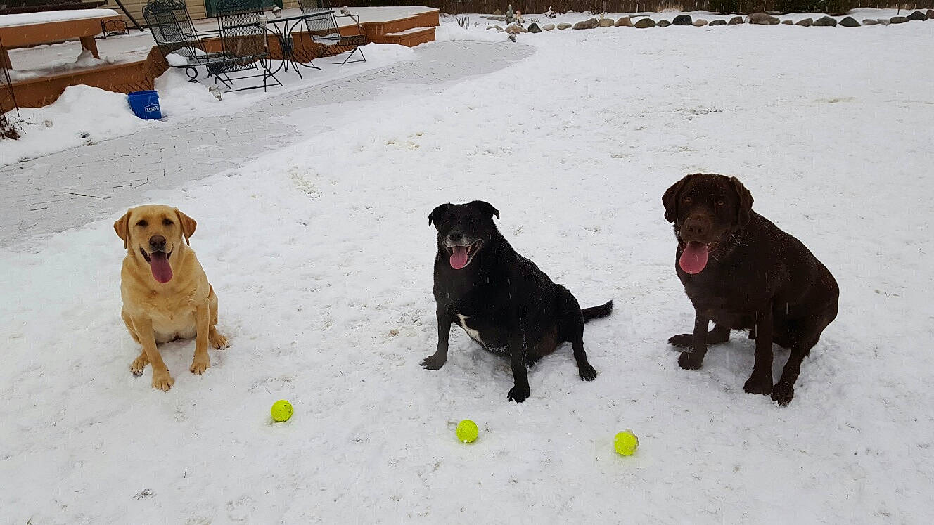 Mollie Brooklyn And Forest