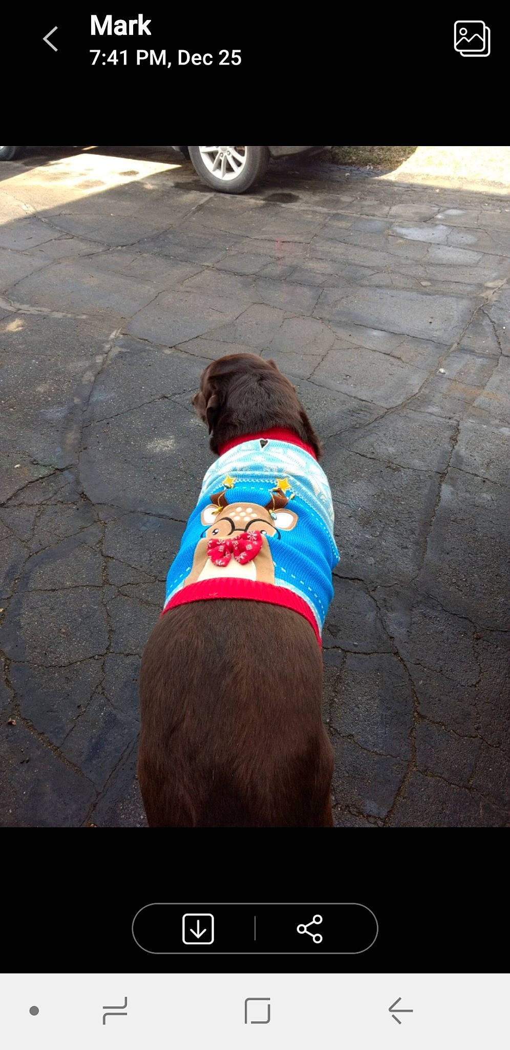 Forest joined the competition — help win amazing prizes! asphalt, automotive_tire, concrete, electric_blue, flooring, human_leg, knee, leg, pedestrian, road, road_surface, sidewalk, sportswear, t_shirt, tar, thigh, tints_and_shades, tire, wheel, wrist