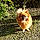 Reinette