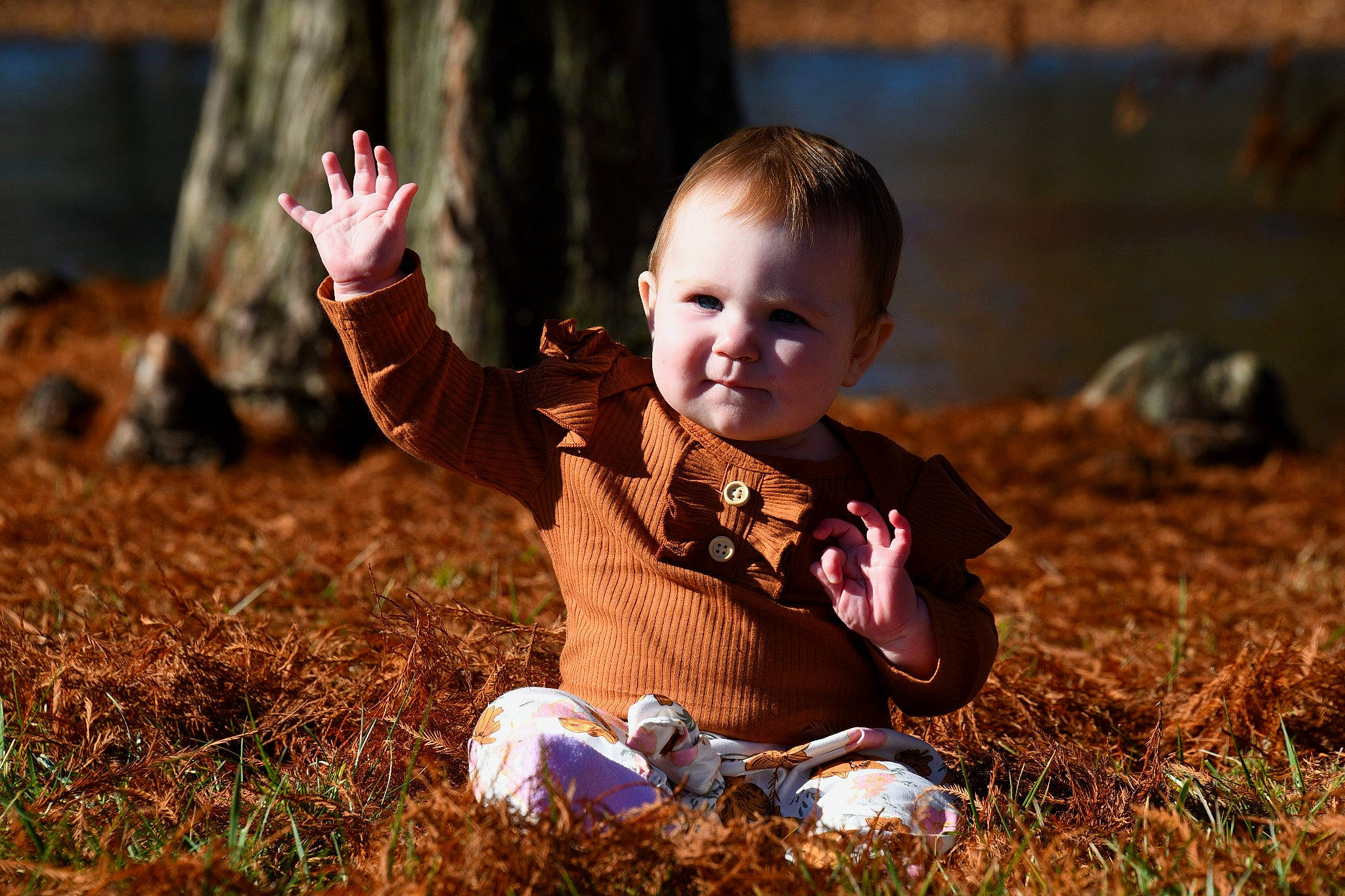 Cassidy is registered to the contest to win money with this photo: autumn, baby, baby_toddler_clothing, child, flash_photography, fun, gesture, grass, happy, laugh, people_in_nature, person, plant, portrait_photography, sitting, smile, soil, sunlight, toddler, tree