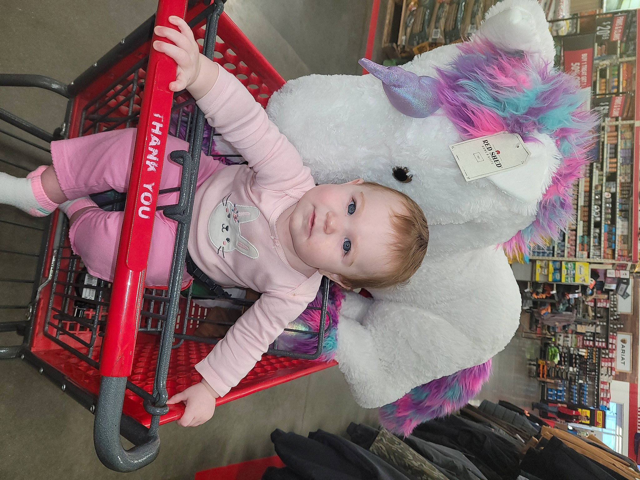 Cassidy is registered to the contest to win money with this photo: baby, baby_carriage, baby_products, baby_toddler_clothing, baby_toys, child, costume, event, fun, fur, lap, magenta, person, pink, purple, sitting, tire, toddler, toy, tree